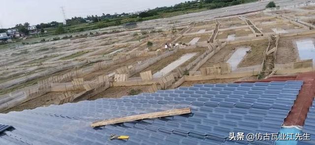 鐵瓦換成了樹(shù)脂瓦，龍泉驛區(qū)這些屋面有了大變樣！龍泉人的大機(jī)遇